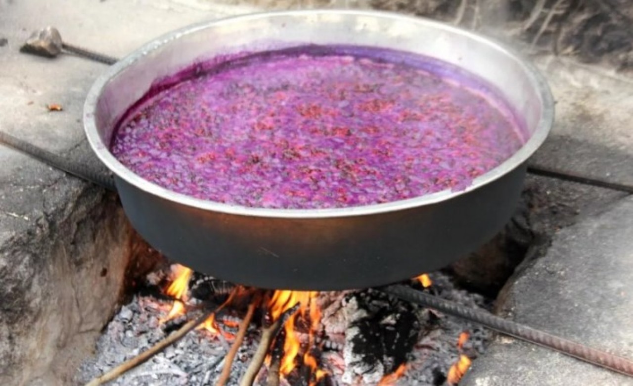 Kanser hücrelerini vücuttan uzaklaştırıyor! Fiyatı altınla yarışıyor