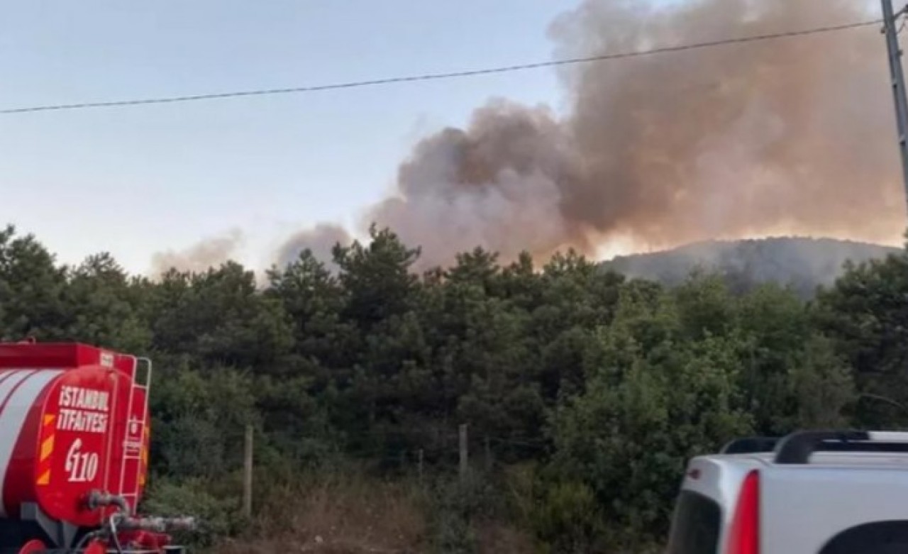 Kayışdağı ormanında yangın çıktı