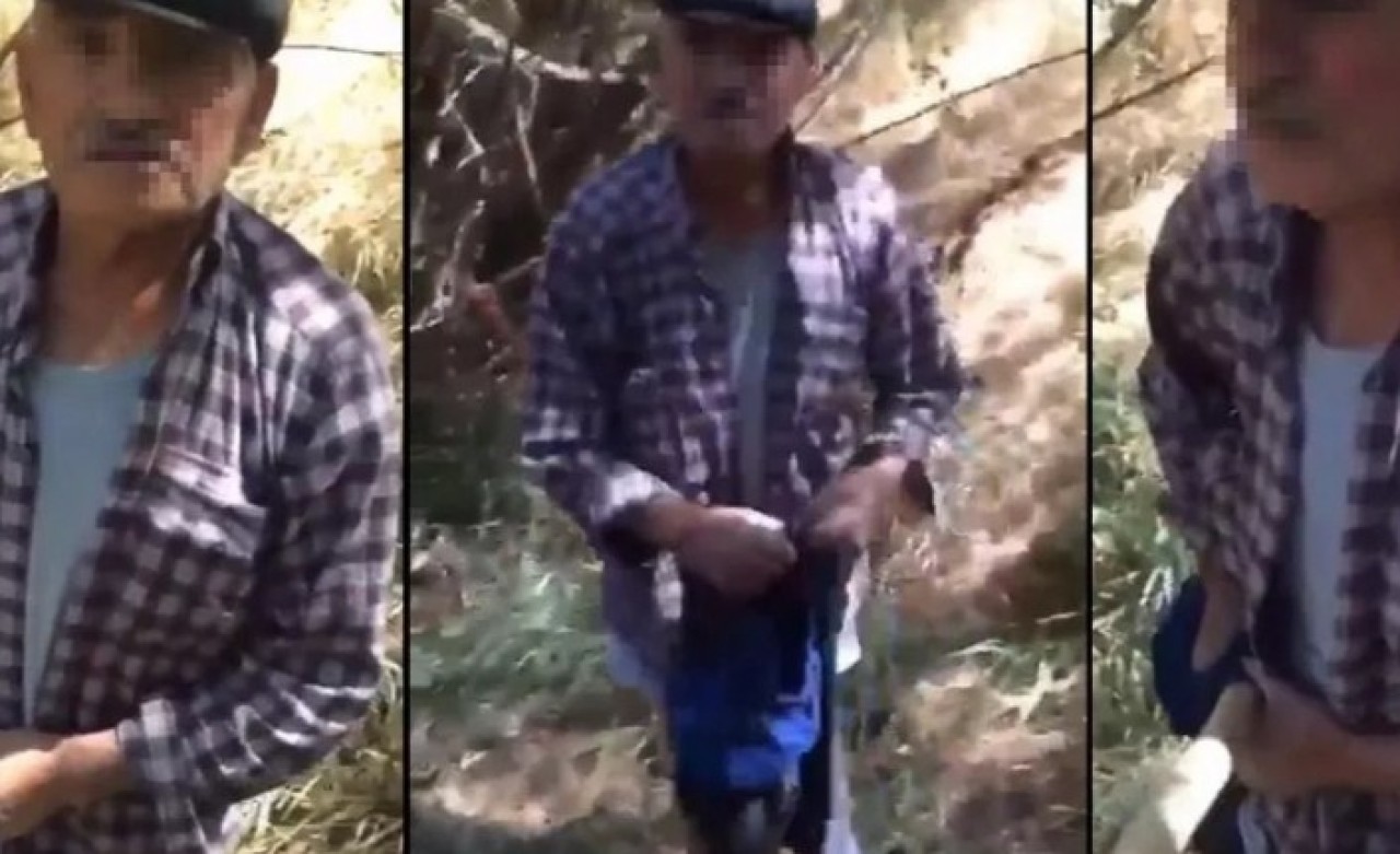 Köpeğe tecavüz ederken yakalandı,  iddialar kan dondurdu!