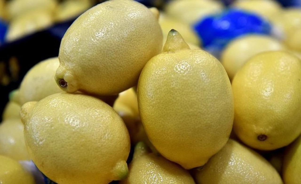 Limon ihracatına ilişkin karar yürürlükten kaldırıldı