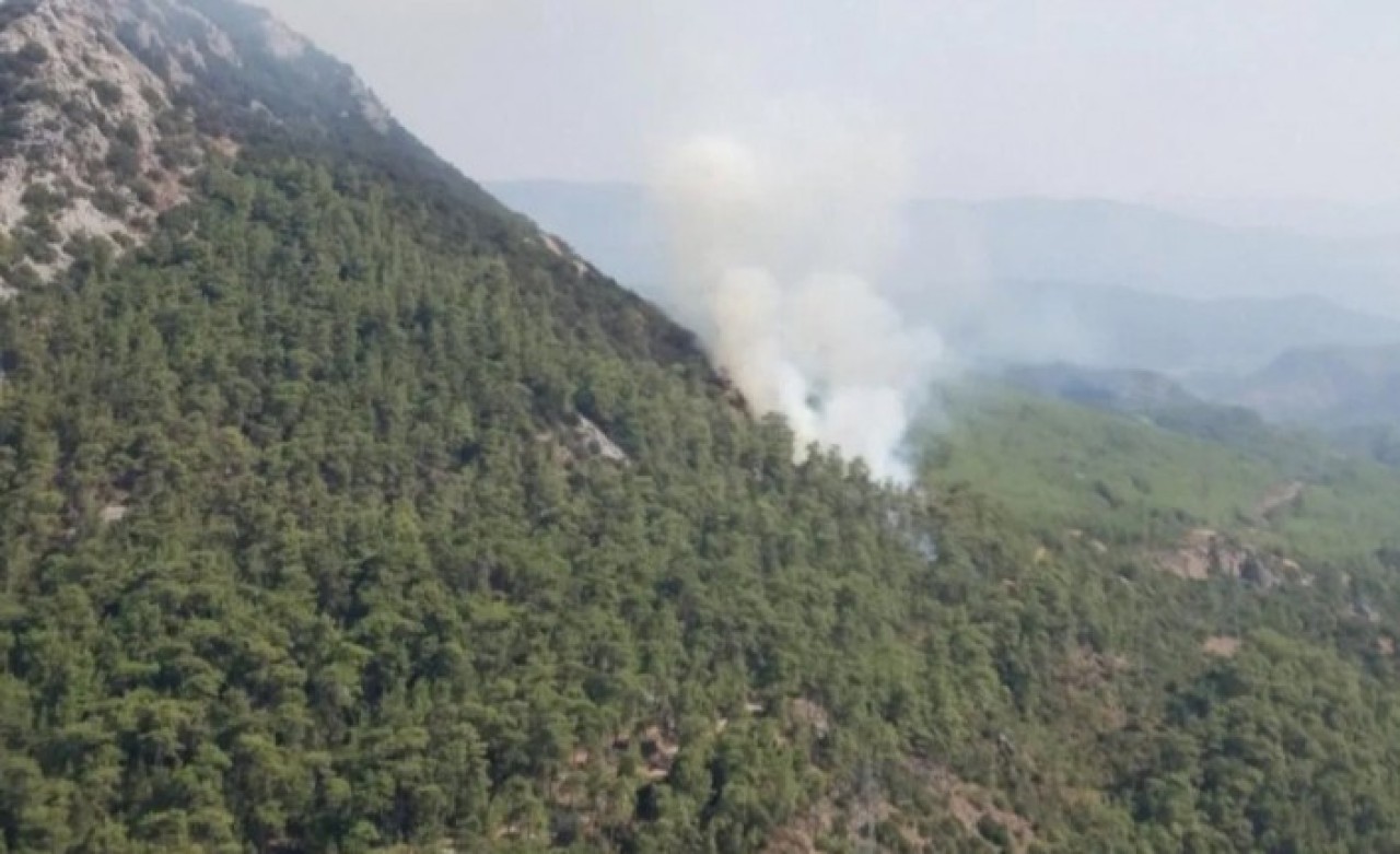 Marmaris'te orman yangını