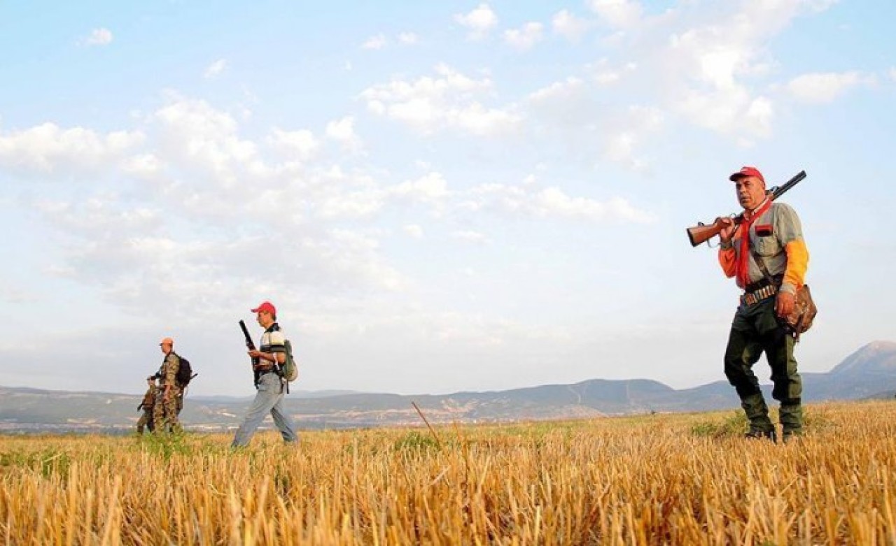 Öldürülecek hayvanlar ve ücretleri açıklandı