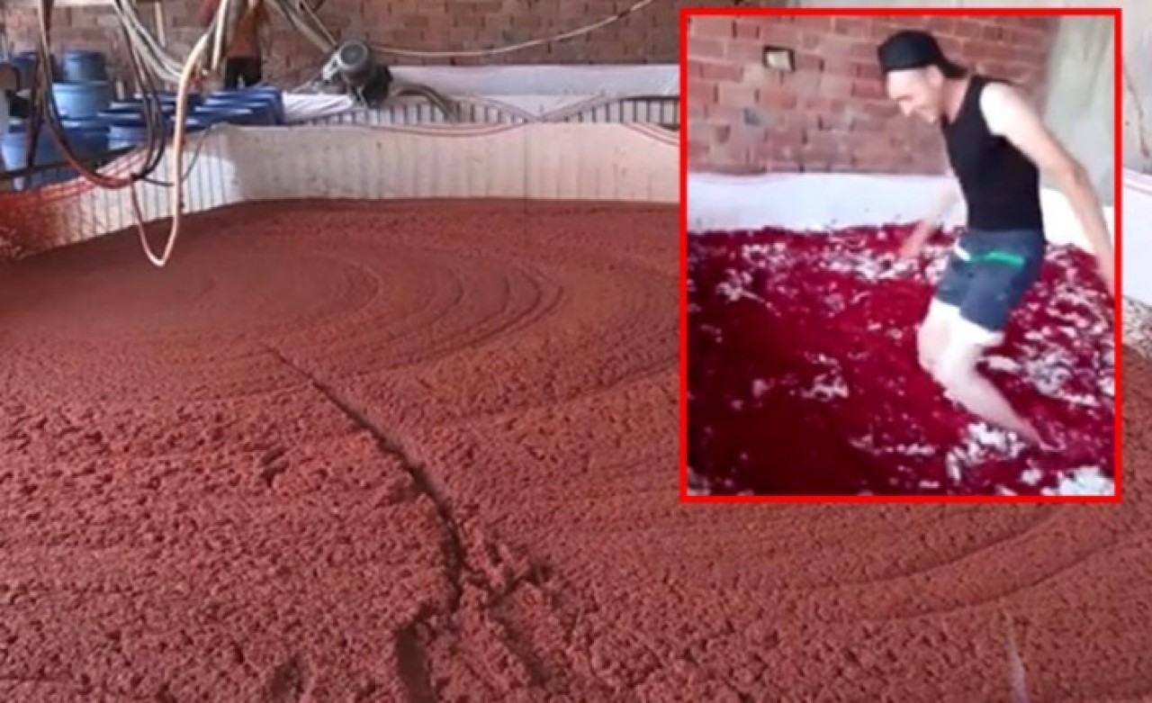 Salça üretim tesisindeki mide bulandıran görüntüleri bakanlık affetmedi