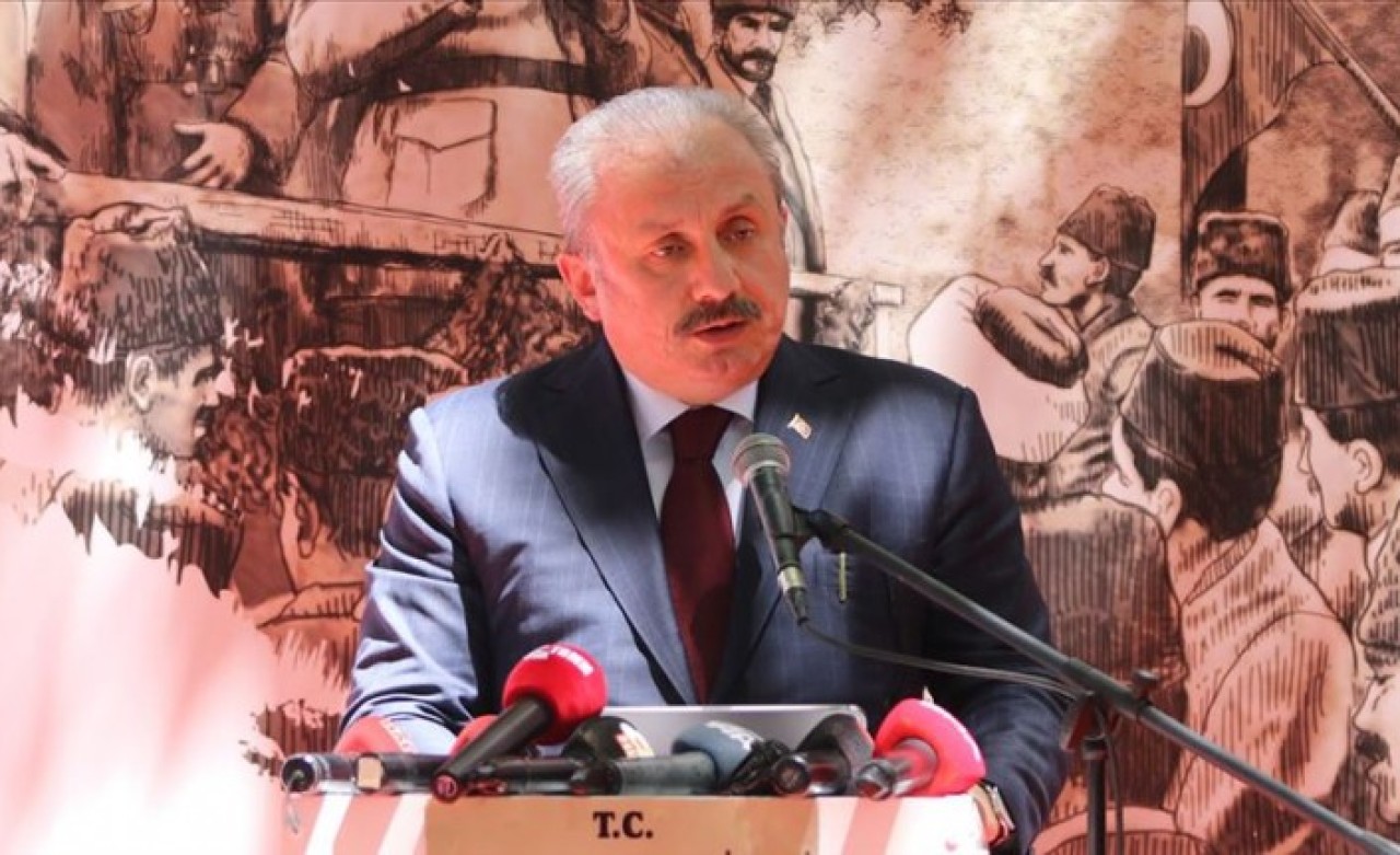 Şentop: Adana'ya işgale gelenler şimdi nerede?