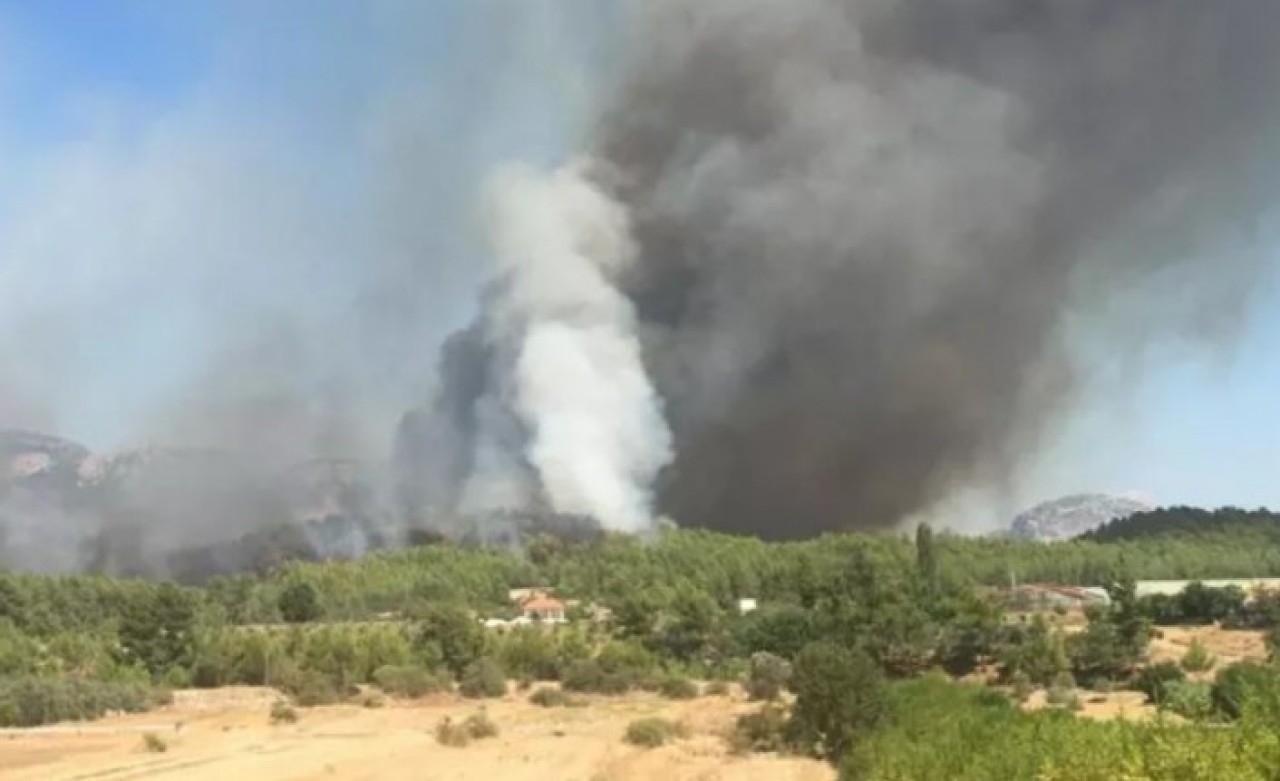 Serik'te orman yangını