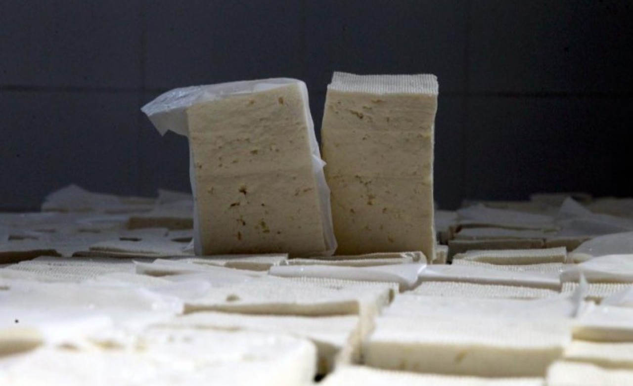 Türkiye Venezüella'dan peynir ithal edecek