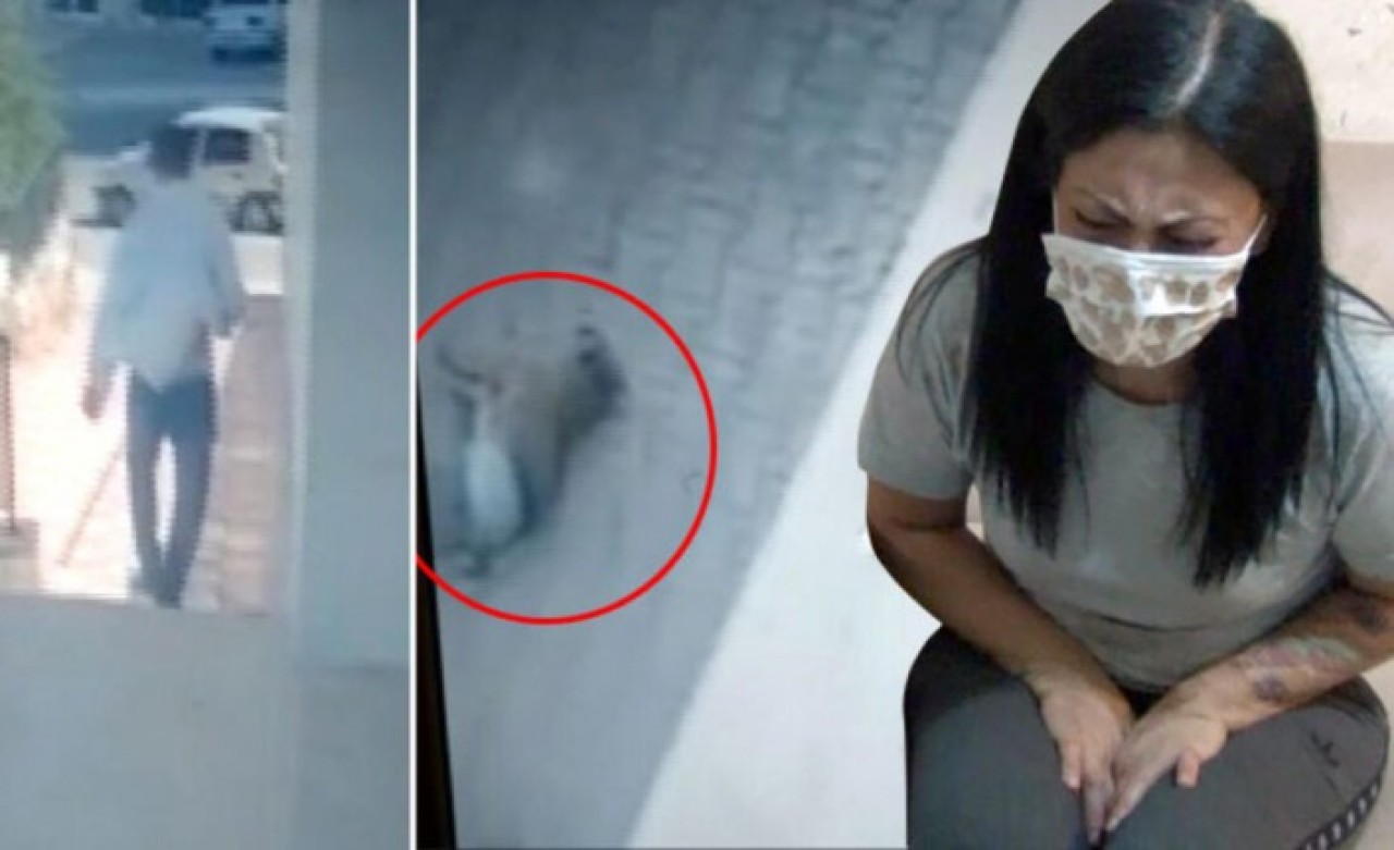 Ankara'da korkunç olay: Şikayetini geri çekmeyen sevgilisinin köpeğini aşağı atıp öldürdü