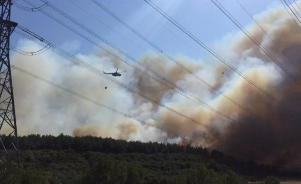 Çanakkale'de orman yangını