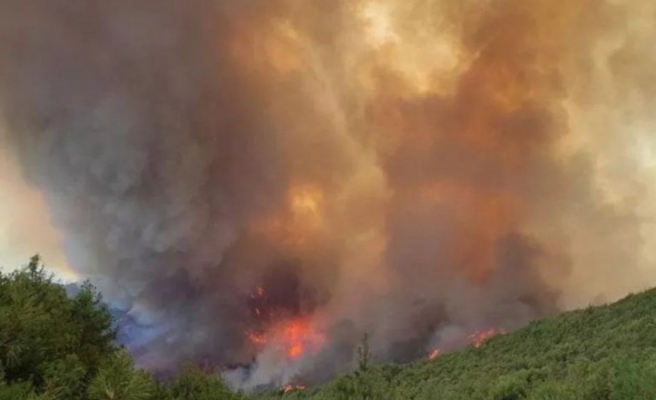 Hatay'da orman yangını: 1 kişi gözaltına alındı