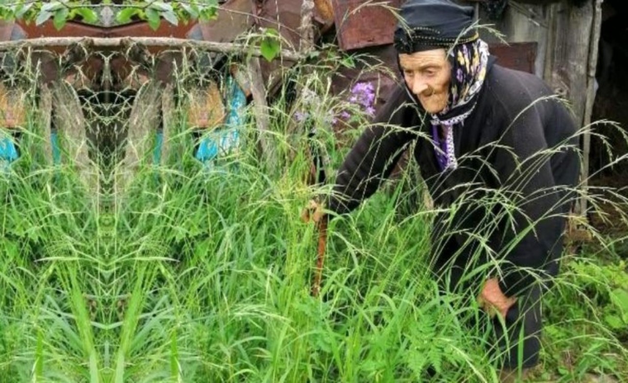 Köyüne küsen Fadime Nine 36 yıldır tek başına yaşıyor: Nedeni ise çok acıklı!