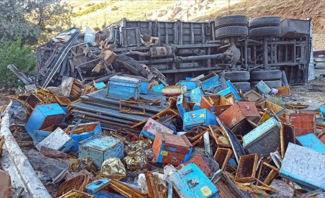 Malatya'da arı kovanı kamyonu devrildi: İsmail Başyiğit,  Abdullah Baki,  Doğan Dallı öldü