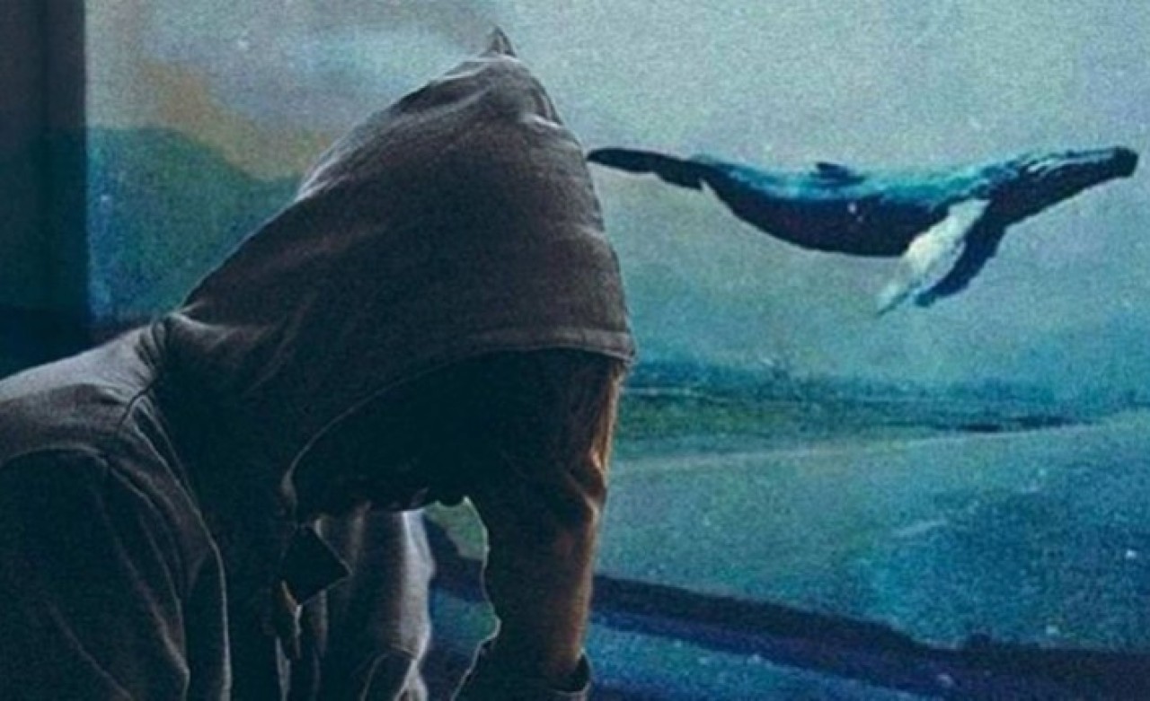 'Mavi Balina' oyunu 3 can aldı