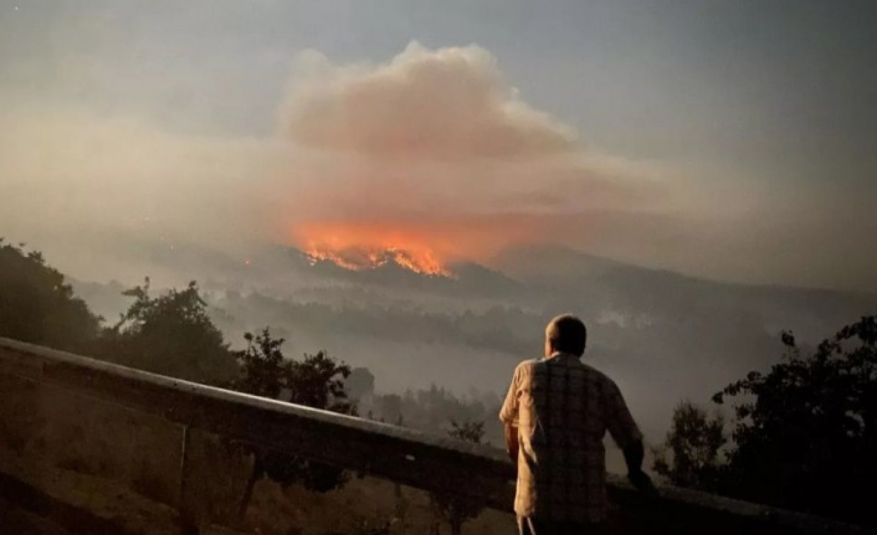 Nallıhan'daki orman yangını kontrol altına alındı