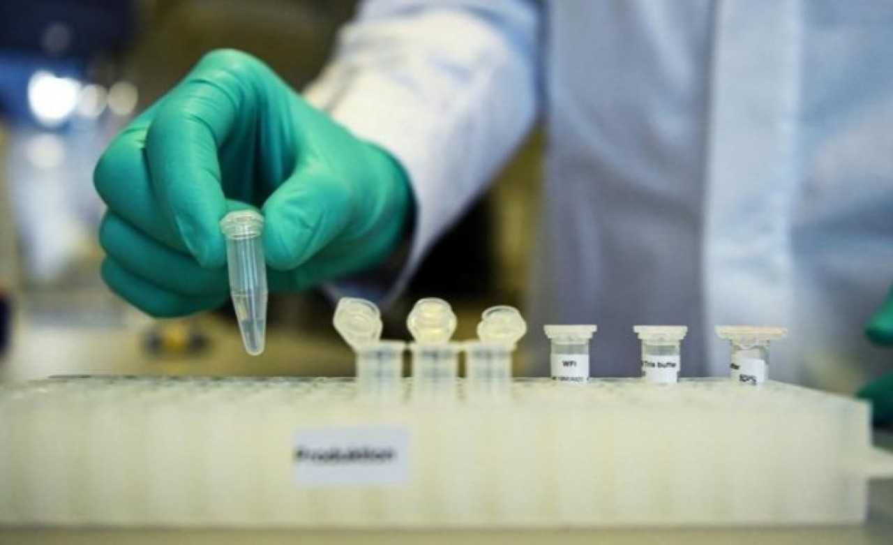 Oxford Üniversitesi'nin koronavirüs aşısı yıl sonundan önce hazır olabilir