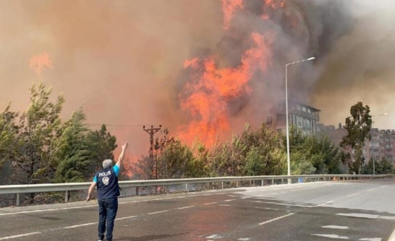 Gün ağarınca ortaya çıktı! Hatay'daki yangından geriye kalan acı manzaralar