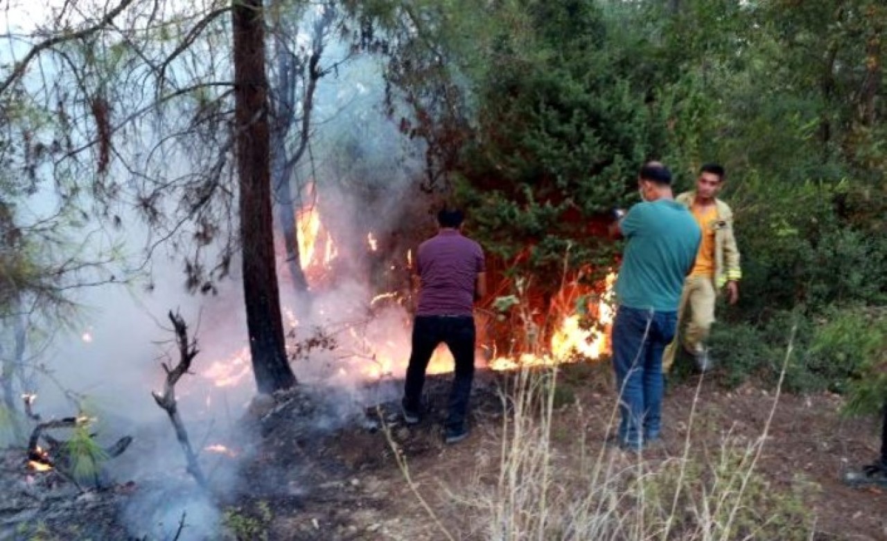 Hatay'dan sonra Osmaniye ve Kahramanmaraş'ta da 4 ayrı noktada yangın: Evlere sıçradı