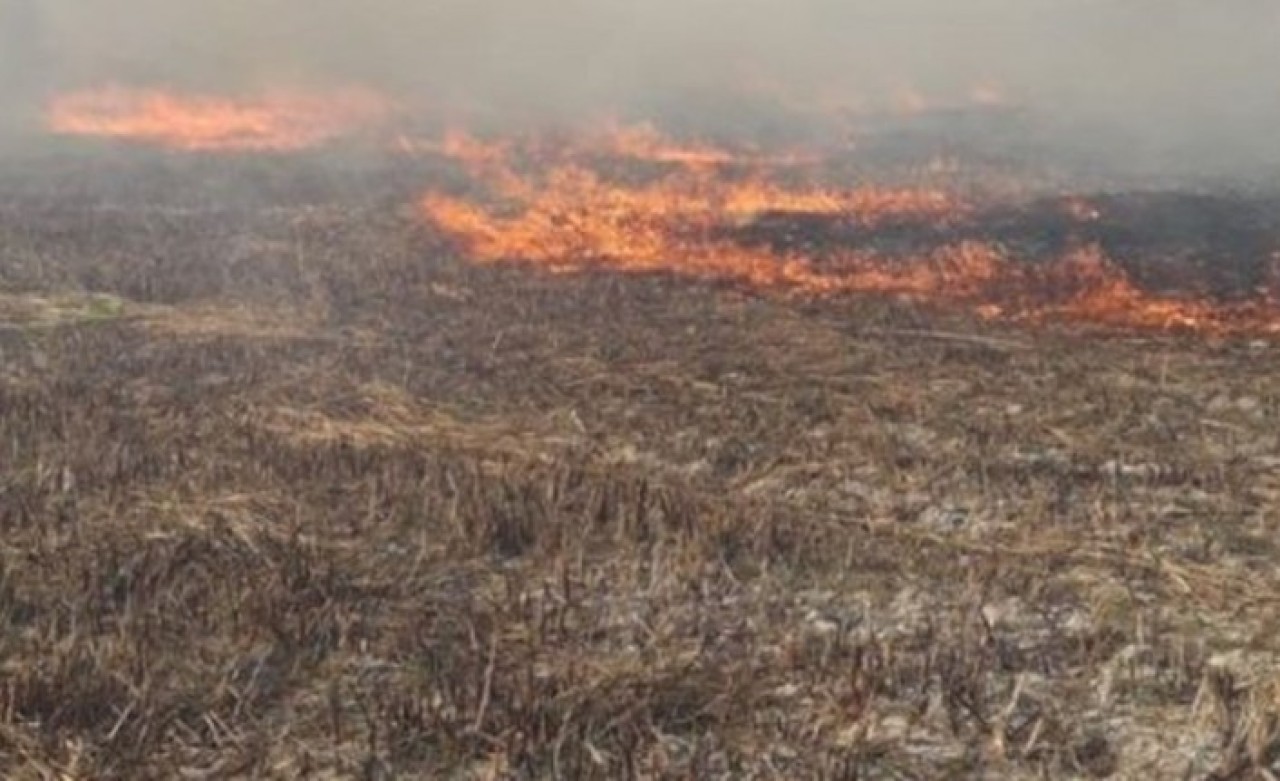 Kayseri'de yangın çıktı
