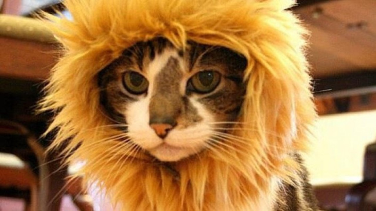 Rangers'tan Galatasaray maçı sonrası olay paylaşım