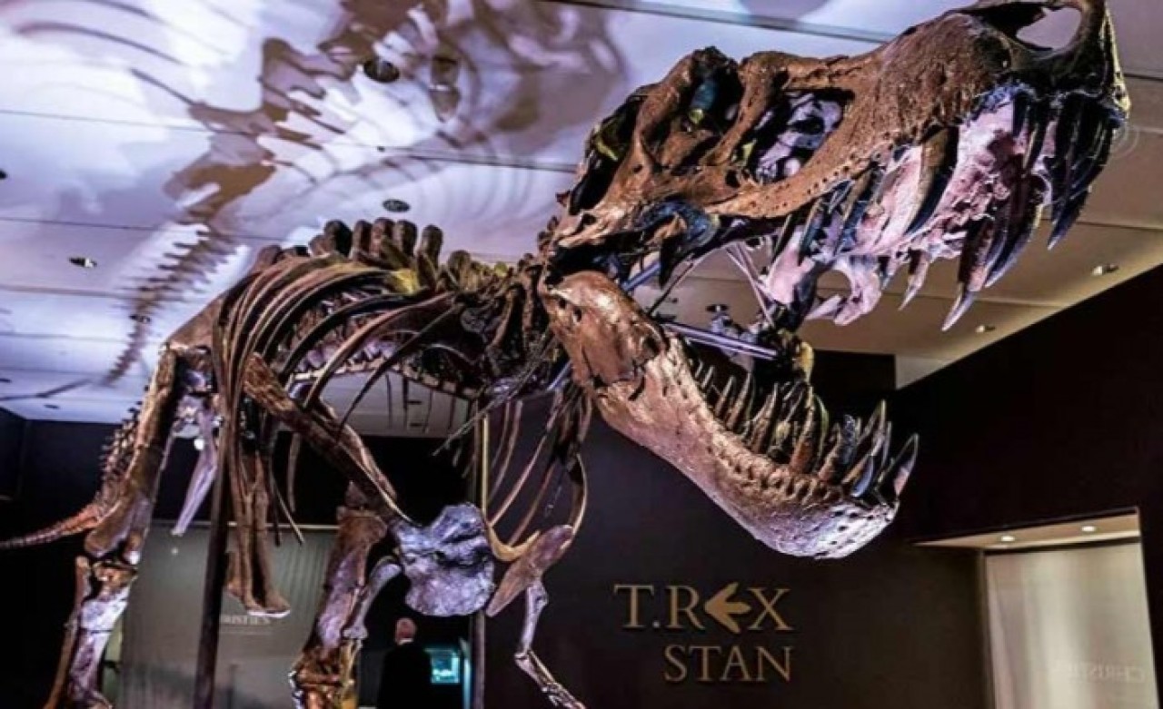 T-rex fosili 32 milyon dolara satıldı