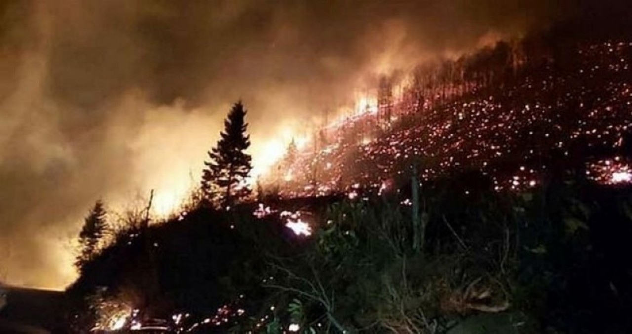 Trabzon'da son 48 saatte 35 farklı noktada yangın çıktı: Belediye başkanından flaş açıklama