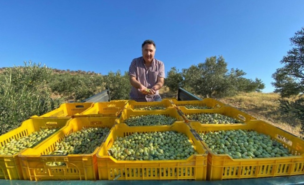 Ünlü İş Adamı Sıtkı Gökmen Mıhcıoğlu’ndan Tarıma Tam Destek