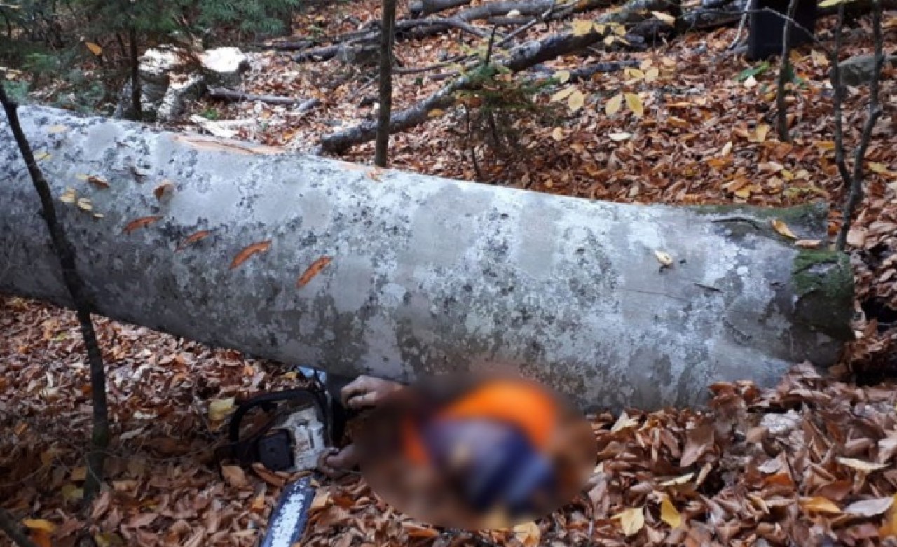 Bolu'da korkunç olay: Rasim Seyit öldü