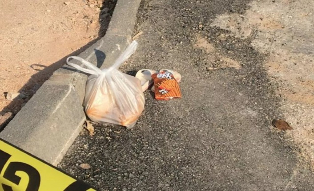 Ehliyetsiz sürücü,  8 yaşındaki Zeynep Aslan'ı öldürdü