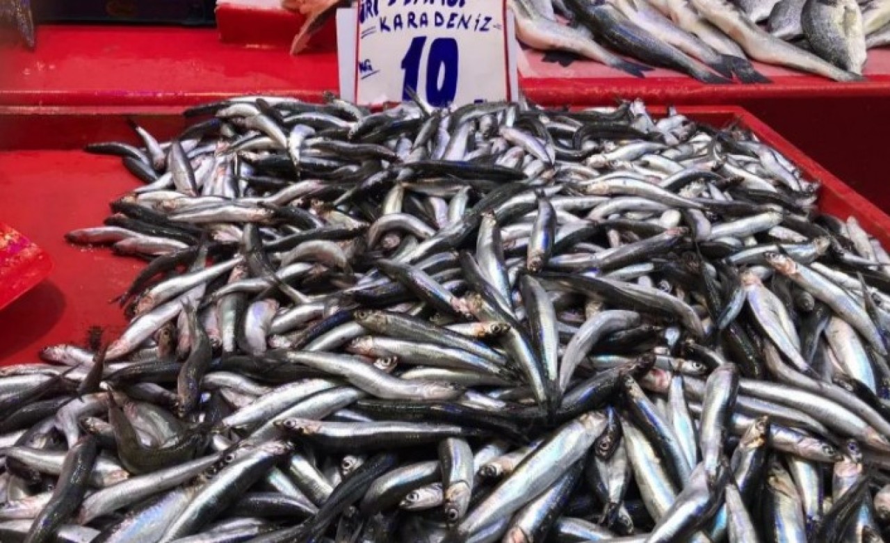 Hamsi yüzleri güldürüyor