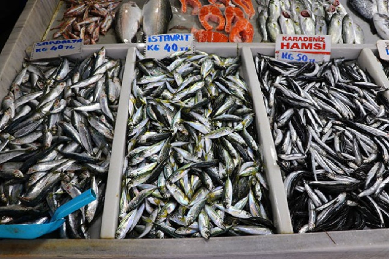 Kuyumcu değil,  balıkçı tezgahı: Hamsi kavağa çıktı!