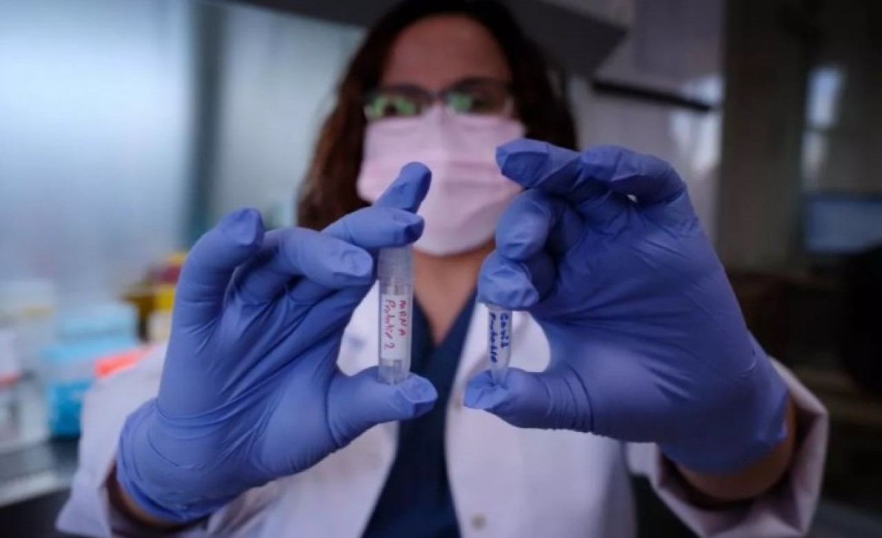 Türkiye'de bir ilk! Hayvan deneyleri aşamasına gelindi