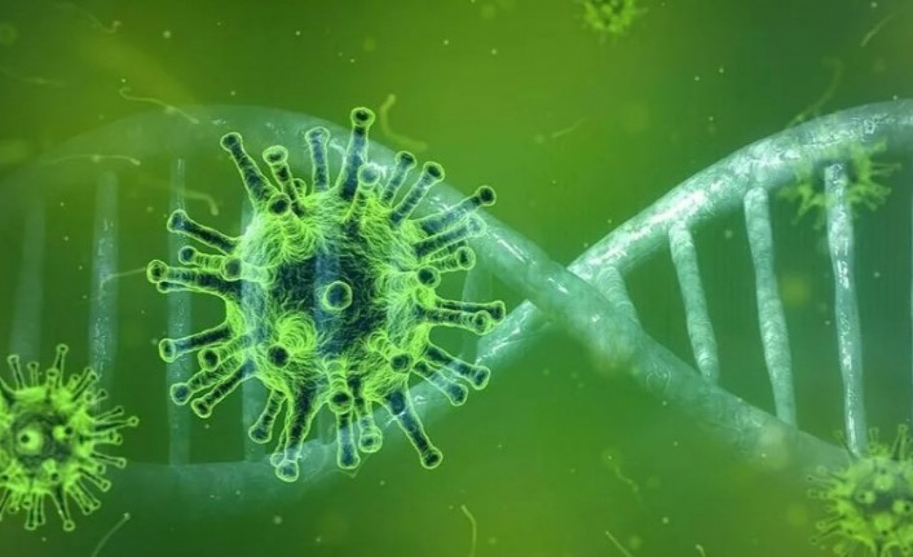 Belçikalı virologdan mutasyon açıklaması: Bazıları baskın olabiliyor