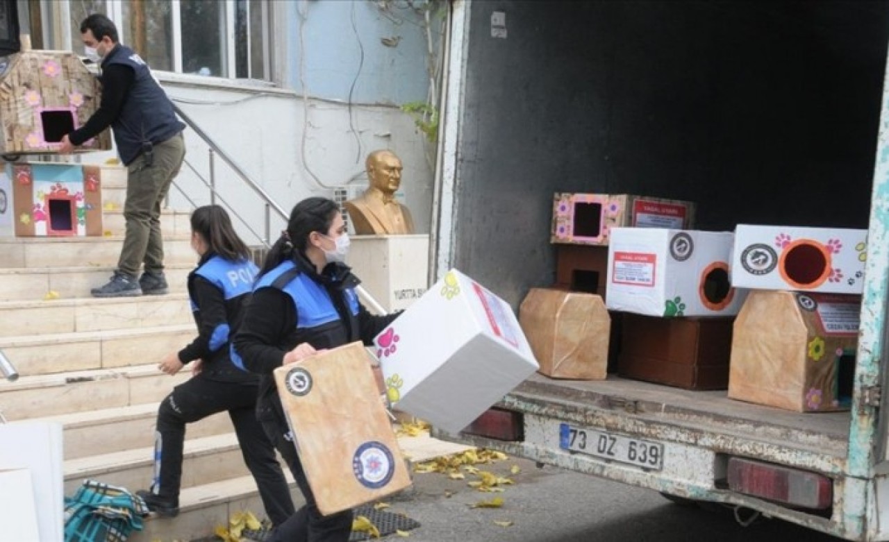 Cizre'de polis,  sokak hayvanları için kedi ve köpek evleri yaptı