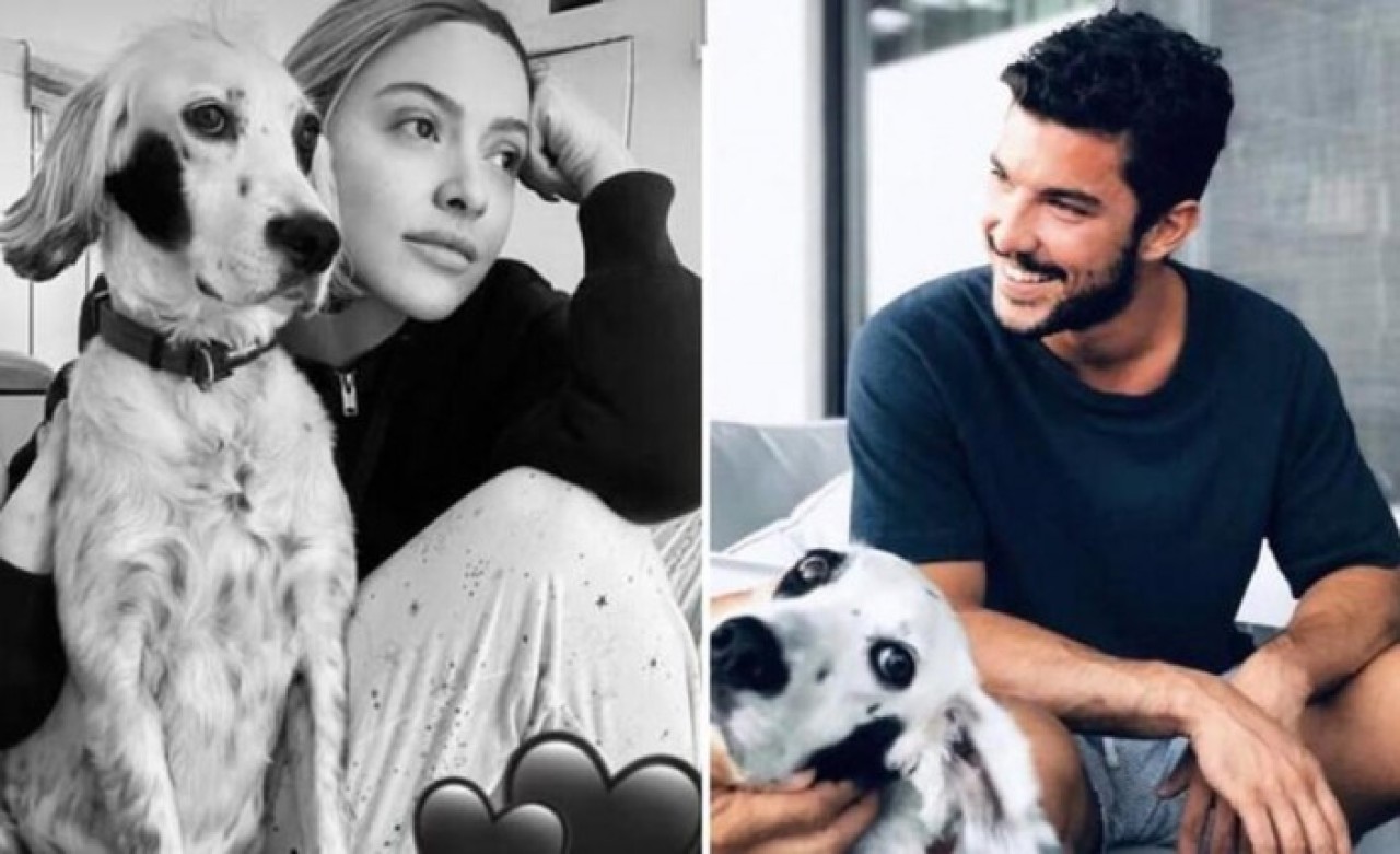 Gözde çiftten kötü haber: Hadise duyurdu!