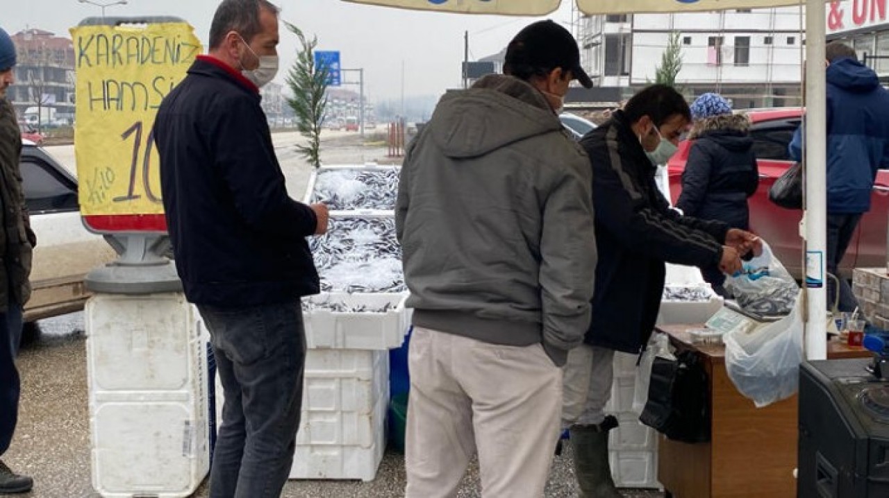 Hamsinin kilosu İstanbul'da 35 lira,   200 kilometre ileride 10 lira