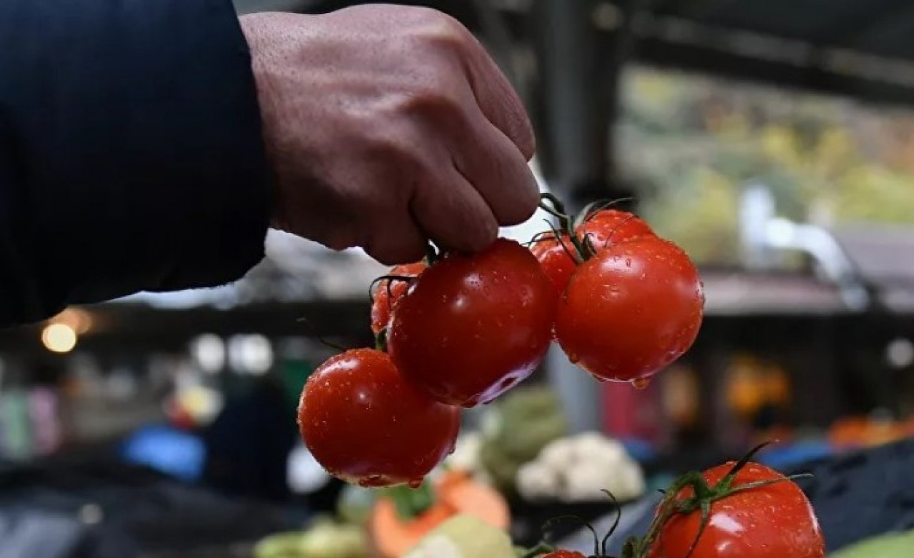 Rusya,  Azerbaycan’daki 12 işletmeden domates ithalatına izin verdi