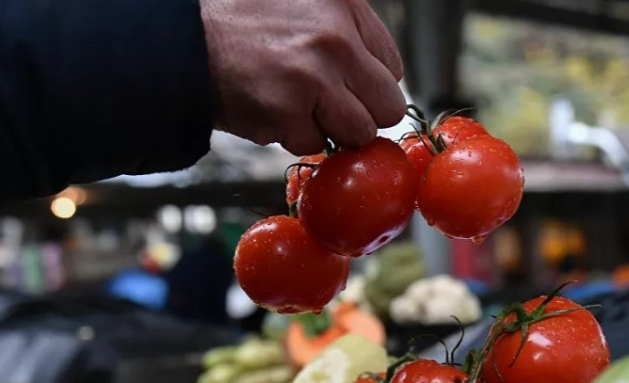Rusya Tarım Bakanlığı’ndan Türkiye’den domates sevkiyat kotasını artırma teklifi