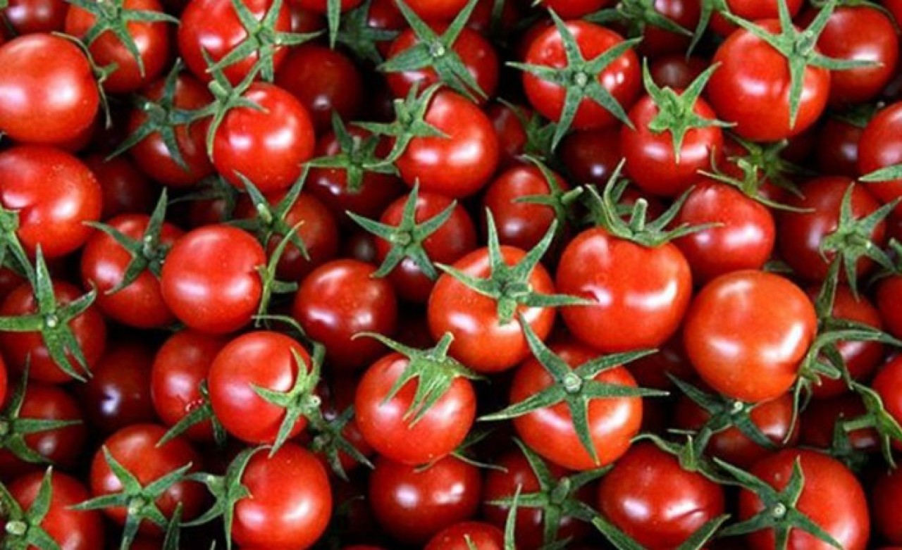 Rusya'dan flaş Türkiye kararı: Yasak geldi