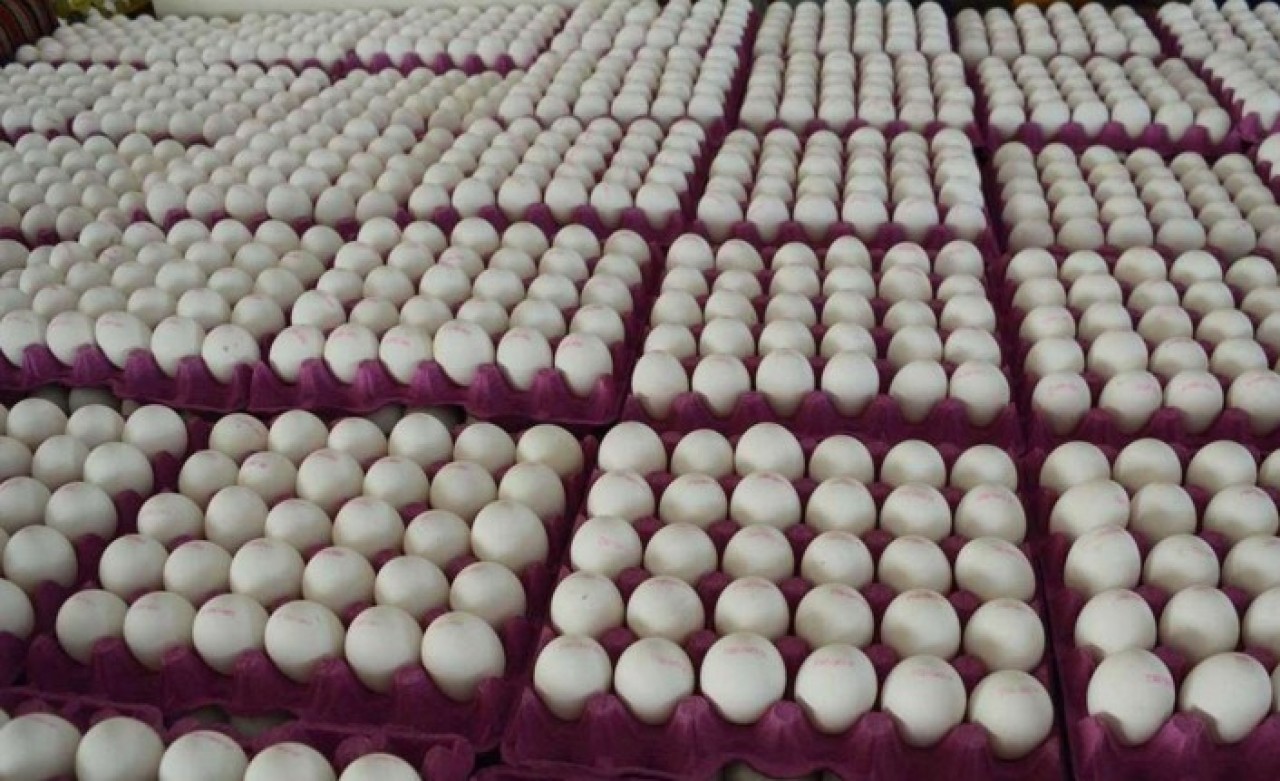 Tavuk fiyatlarını bile solladı! İşte yetkililere göre yumurtaya gelen zammın nedeni