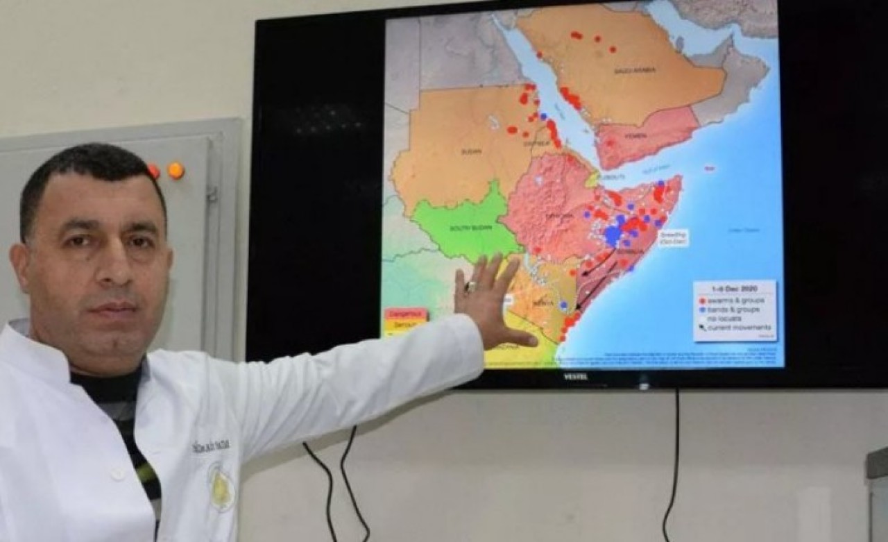 Türkiye için korkutan uyarı: Önlem alınmazsa 2021'de istilaya neden olur