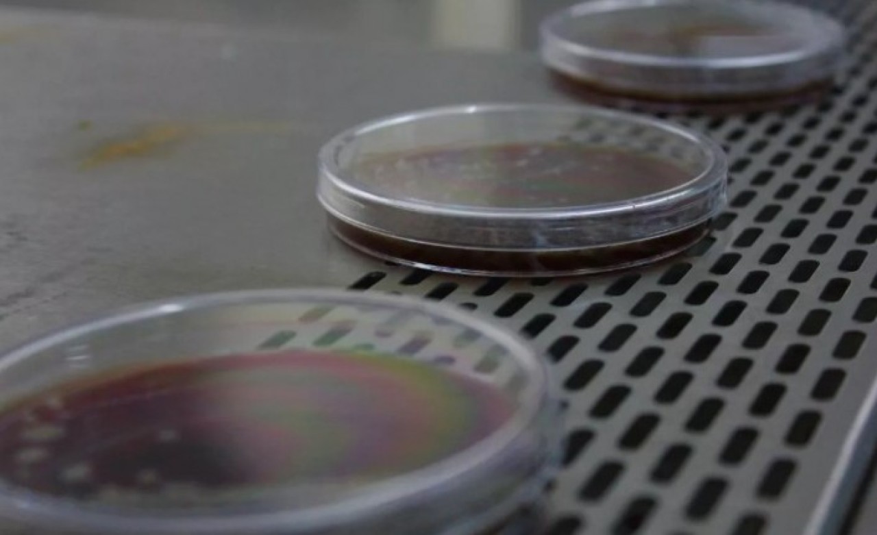 Maskelerdeki incelemelerde korkutan sonuç! Bunu yapıyorsanız dikkat