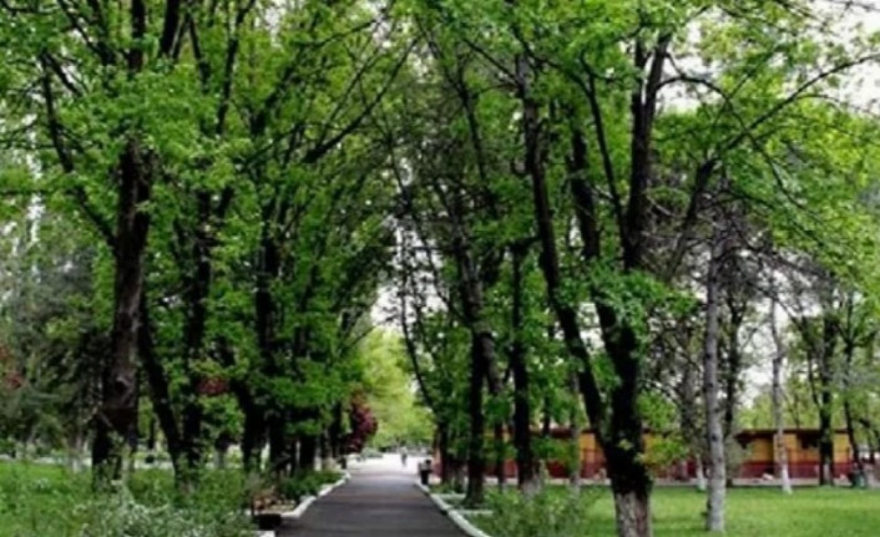 Atatürk Orman Çiftliği'ndeki bazı araziler 10 yıllığına kiraya verilecek