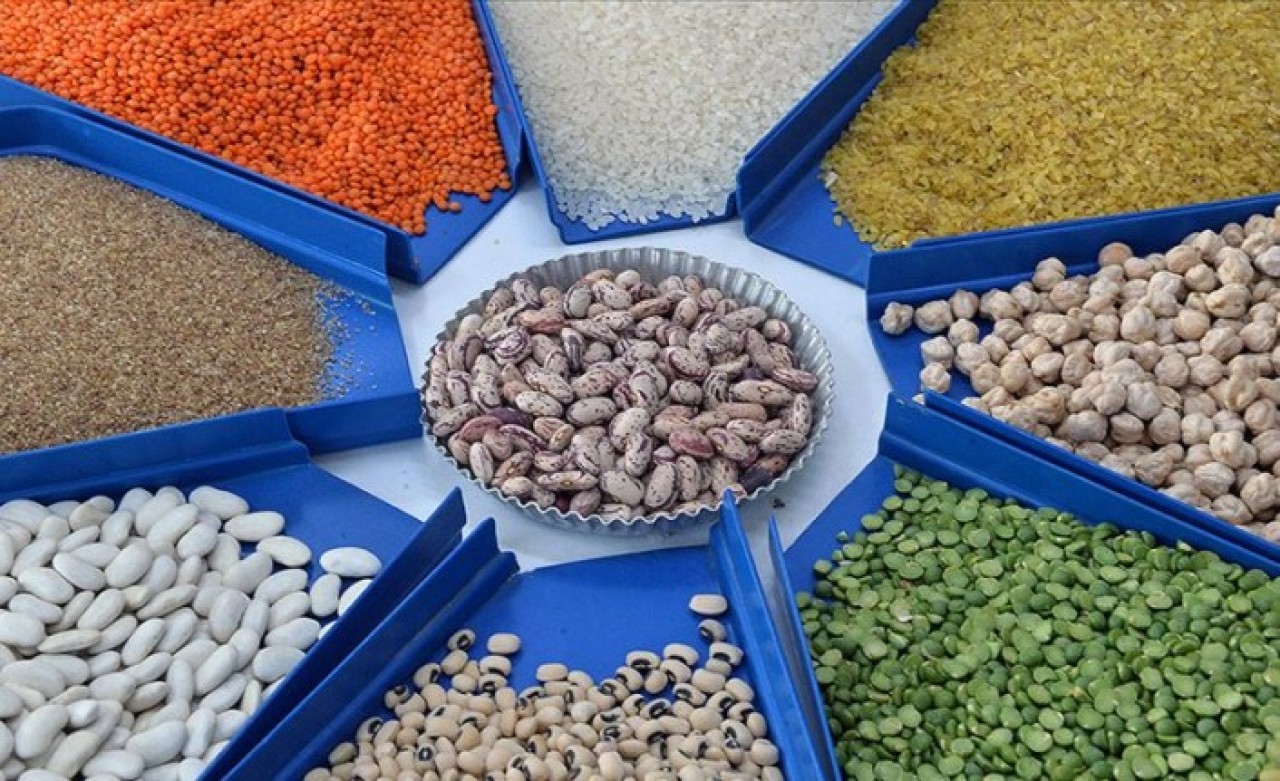 Bakliyat üretimi sağlanan desteklerle artıyor