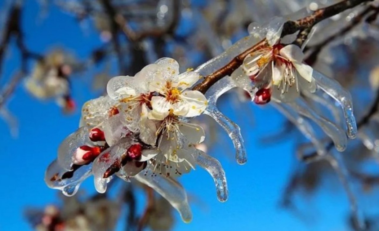 Meteoroloji'den birçok il için 'sarı' uyarı
