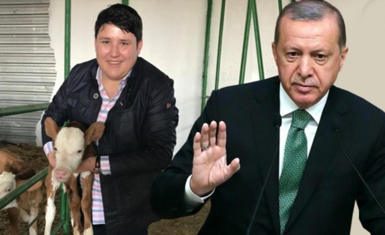 TV'de reklamı gören Cumhurbaşkanı Erdoğan talimatı verdi: 'Bu da Çiftlik Bank işine dönmesin!'