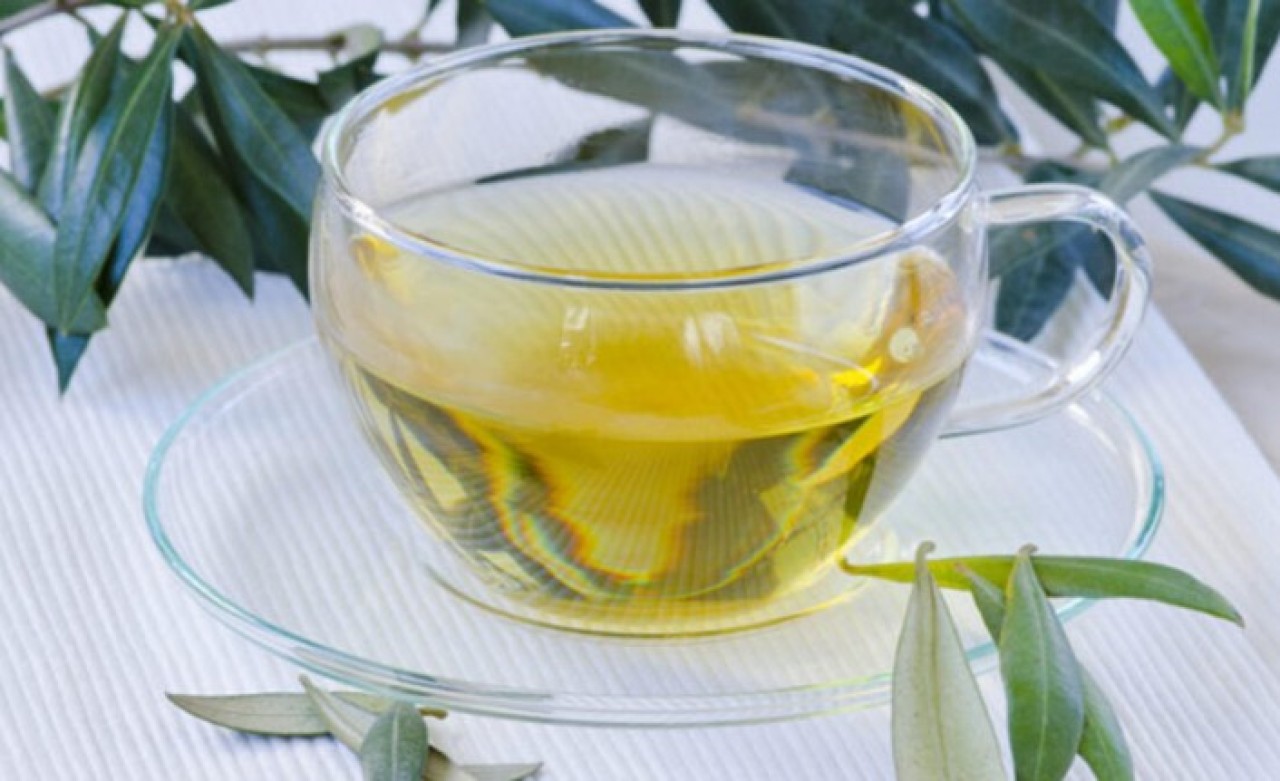 Zeytin yaprağı çayı nasıl tüketilir