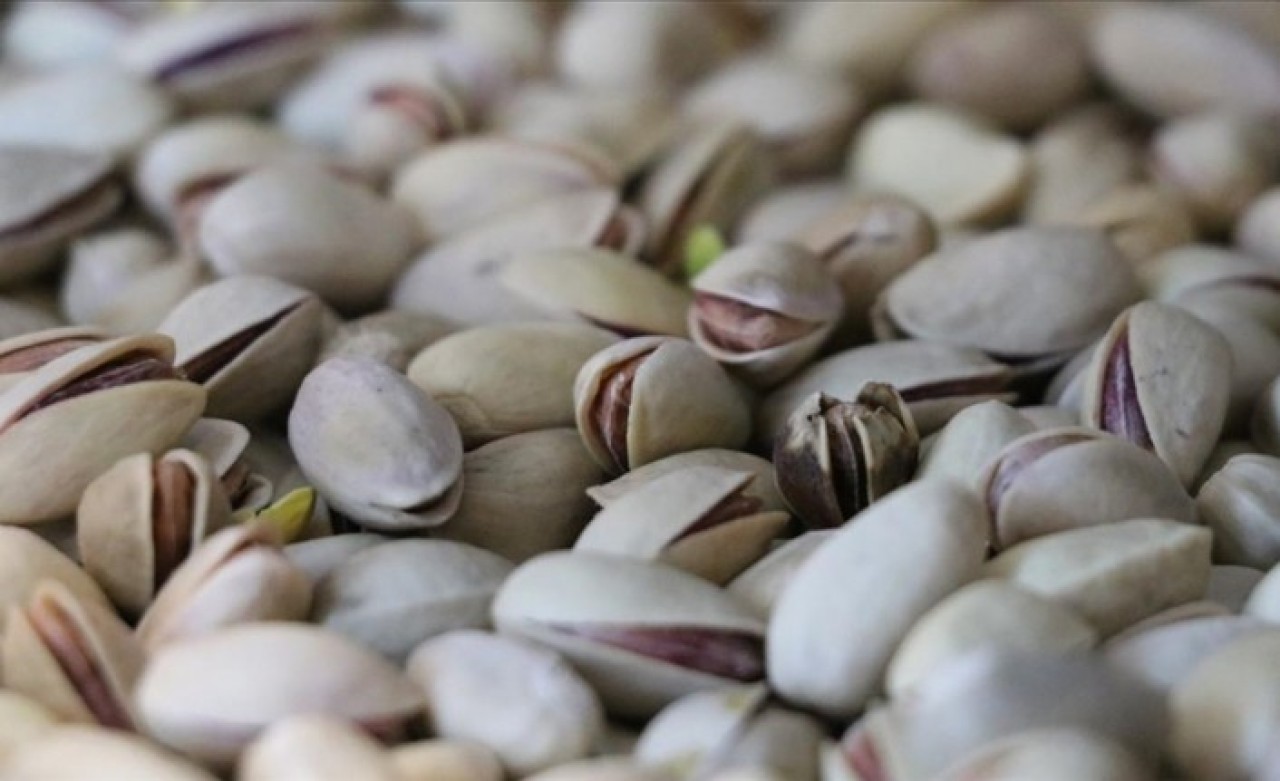 Almanlar Siirt fıstığını sevdi