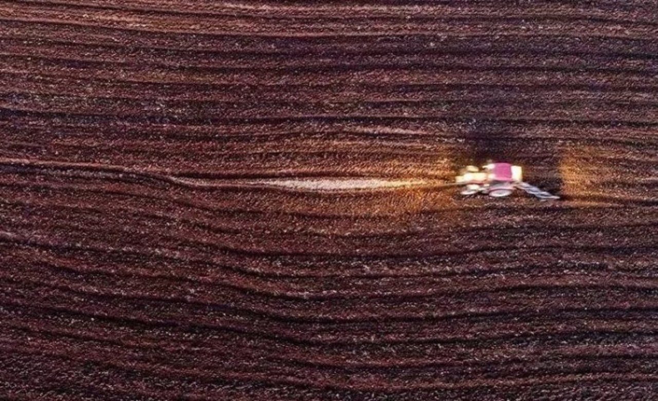 Bakan açıkladı: Destekler yarın itibariyle yatıyor