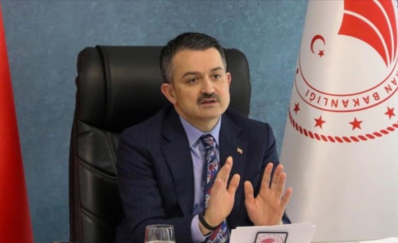 Bakan Pakdemirli: 376 milyon 743 bin 190 liralık destek ödemelerine bugün başlıyoruz