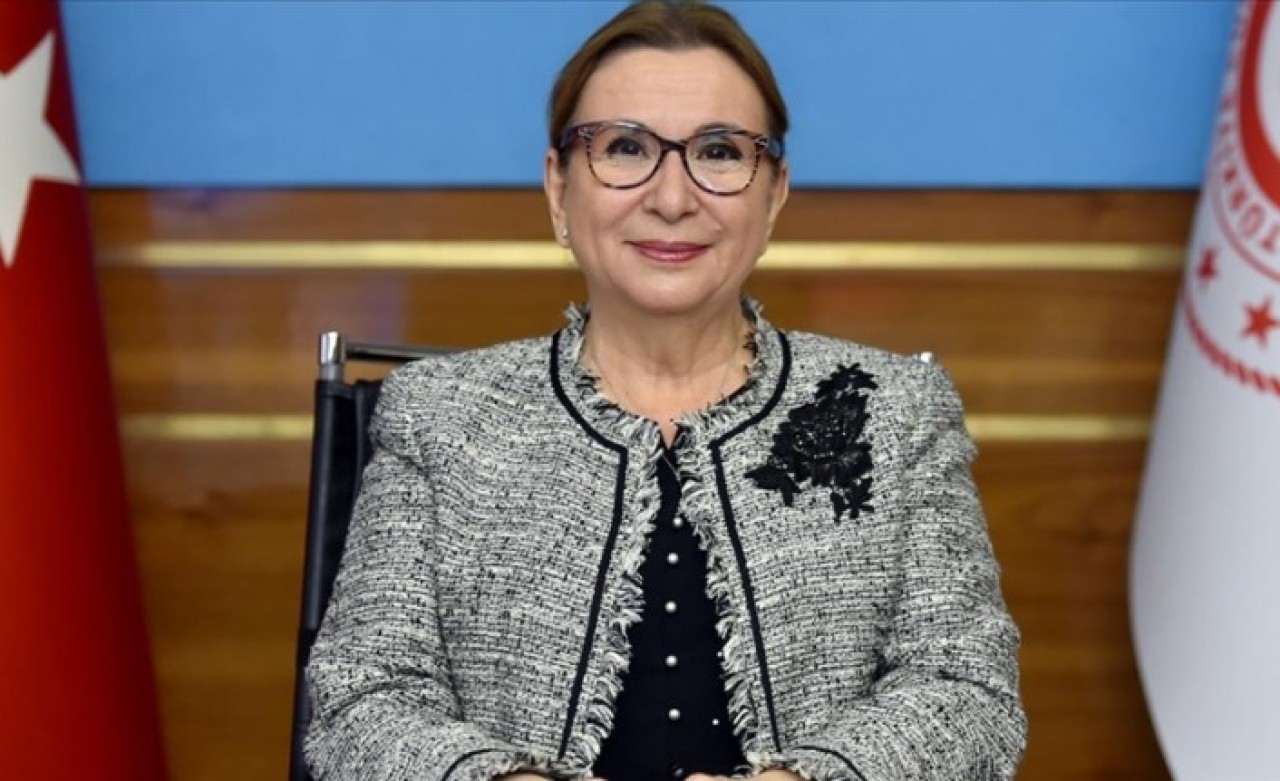 Bakan Pekcan: Tüm zamanların en yüksek şubat ayı ihracat rakamına ulaştık