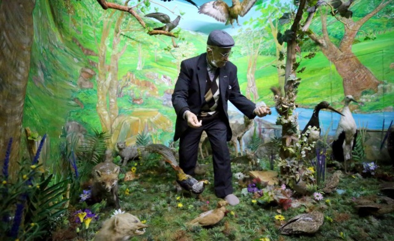 Doldurduğu hayvanlarla evini müzeye çevirdi